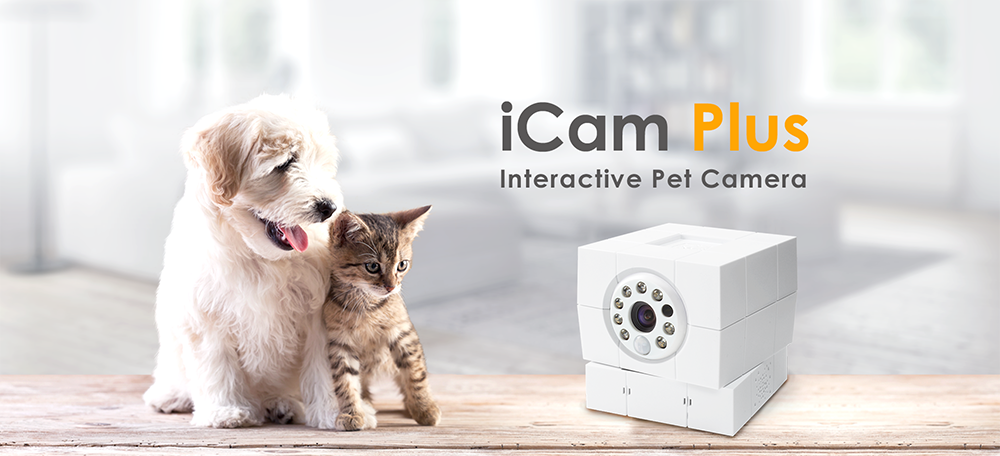 家庭用IPカメラの監視と動物