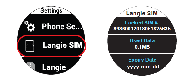 langie sim card global country